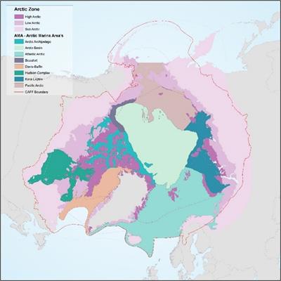 Development of a multi-scale monitoring programme: approaches for the Arctic and lessons learned from the Circumpolar Biodiversity Monitoring Programme 2002-2022